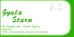 gyula sturm business card